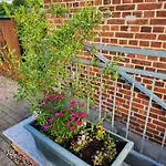 Unterwegs Ins Apartmenthaus Ehemalige Apartmenthaus Unterwegs Rostock
