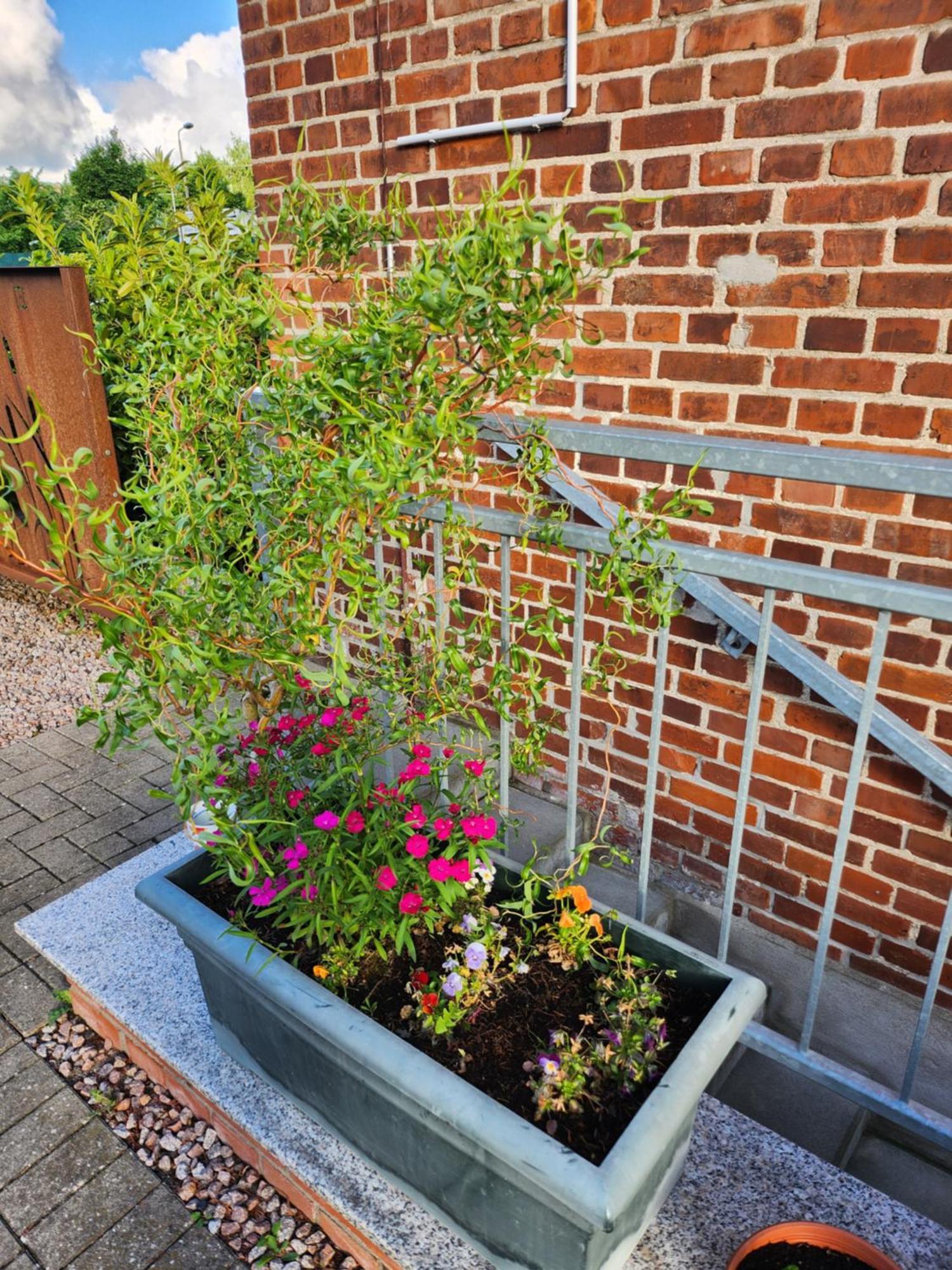 Unterwegs Ins Apartmenthaus Ehemalige Apartmenthaus Unterwegs Rostock